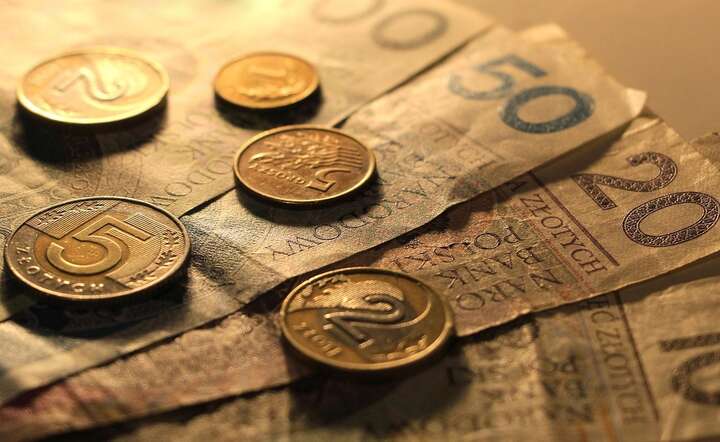 Kurs polskiej waluty pozostawał stabilny mimo umocnienia dolara / autor: Pixabay