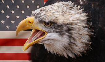USA tnie wydatki