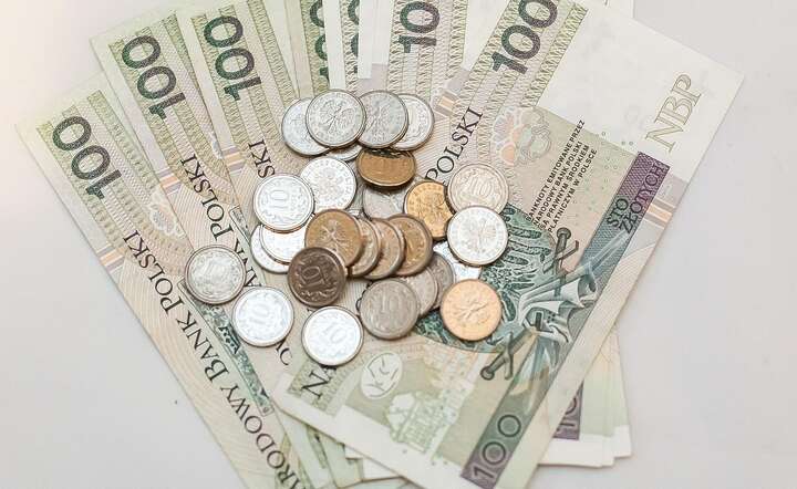 W sektorze rolnym opóźnienia w płatnościach przekraczają 700 dni. / autor: Pixabay