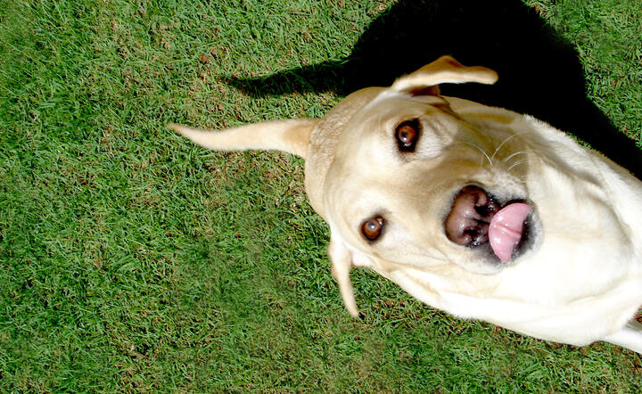 autor: www.sxc.hu