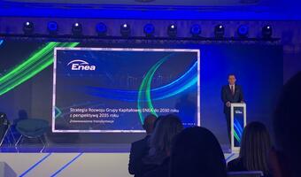 Enea dąży do zrównoważonej transformacji do 2030 roku
