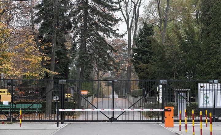 Cmentarz Powązkowski W Warszawie / autor: PAP