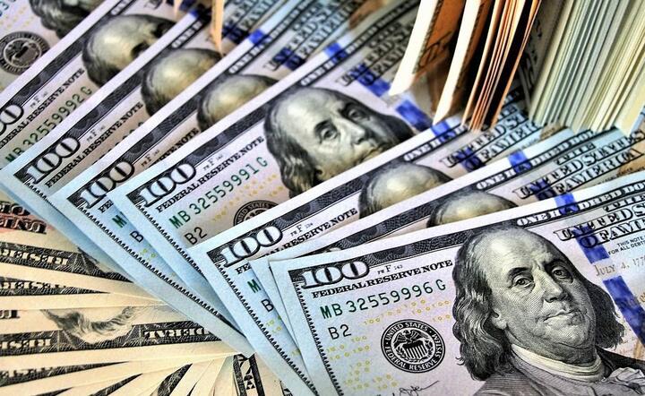 Dolar amerykański  / autor: Pixabay 