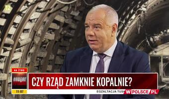 Sasin: Kopalnie uratuje nasza tarcza finansowa