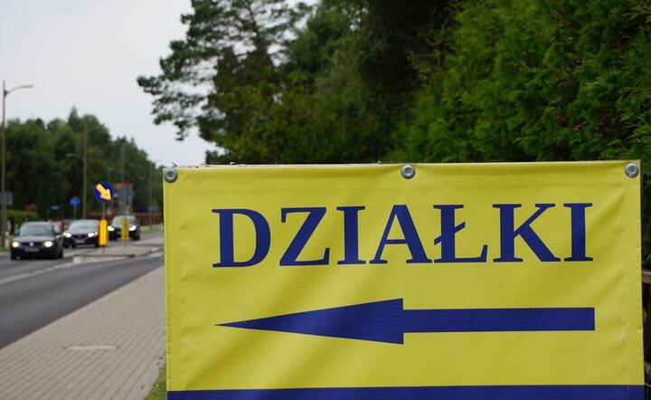 Działki / autor: fot. Fratria