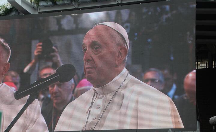 Papież Franciszek / autor: fot. Fratria