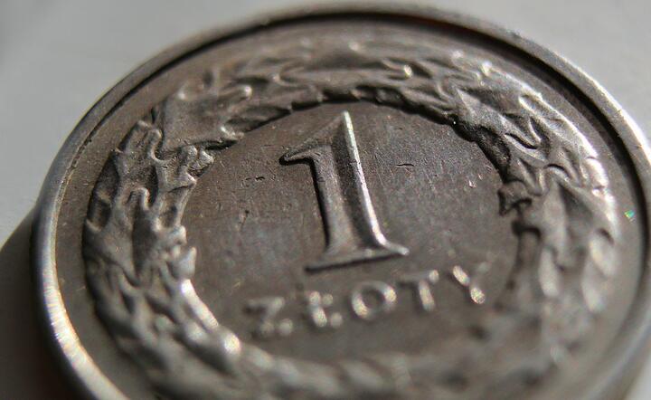 Zdaniem analityka złotówka straciła niewiele / autor: Pixabay