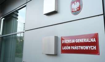 Urzędowy optymizm w Lasach Państwowych: będzie 400 mln zł