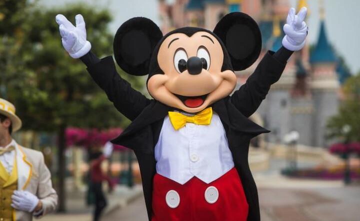 Disneyland / autor: PAP