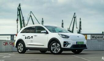 Już 30 tys. aut elektrycznych jeździ po polskich drogach