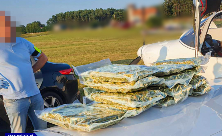 Przemyt narkotyków samolotem. / autor: cbsp.policja.pl
