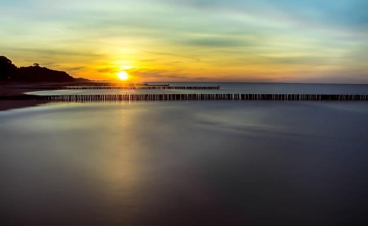 fot. Pixabay / autor: fot. Pixabay