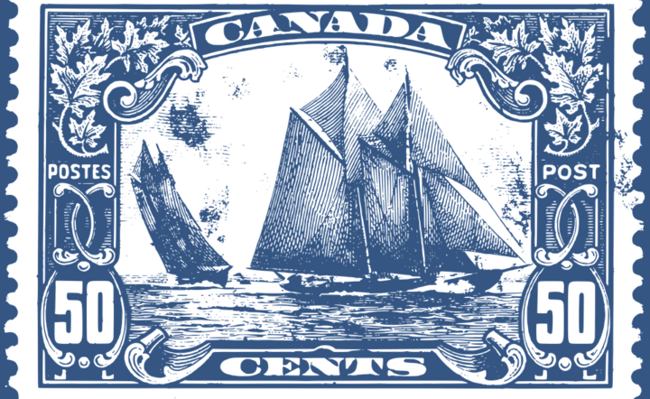 fot. Pixabay / autor: fot. Pixabay