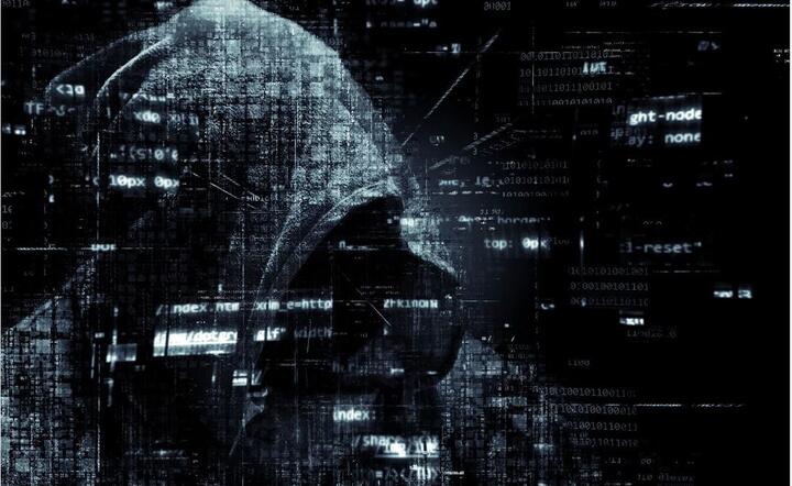 Cyberatak na systemy komputerowe MSZ / autor: Pixabay