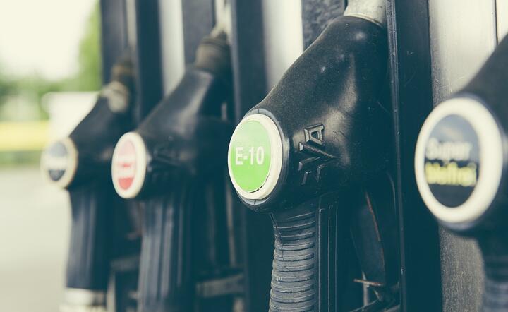 Zdjęcie ilustracyjne / autor: Pixabay