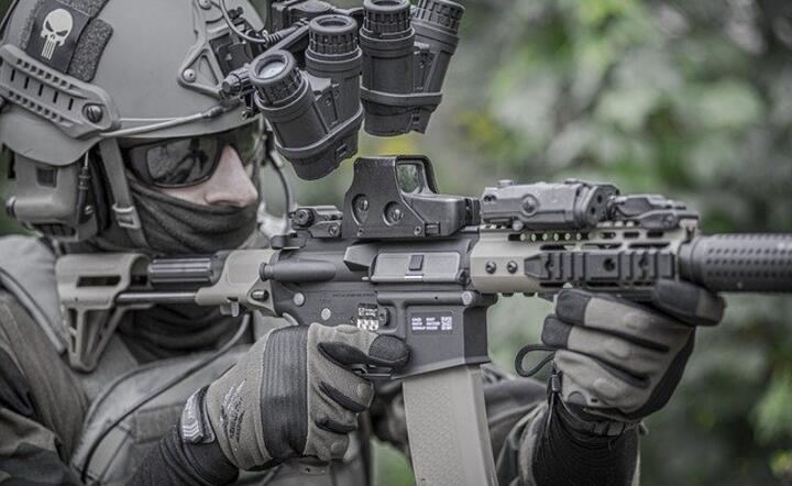 Militaria / autor: Pixabay