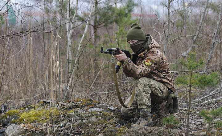 UKRAINE RUSSIA CONFLICT / autor: PAP/EPA/MYKOLA TYS