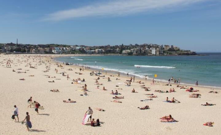 Fot.sxc.hu
