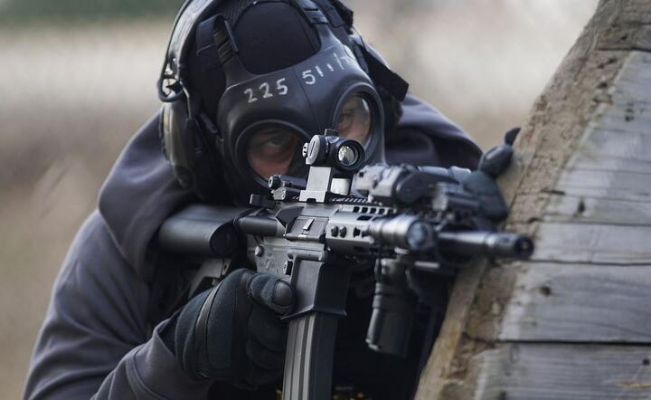 M16 / autor: Pixabay