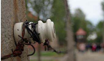 Belgowie oskarżeni o kradzież w b. Auschwitz