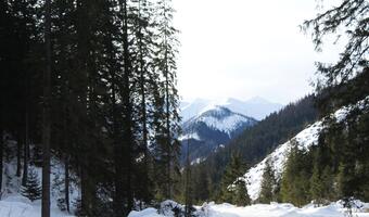 Tatry, Mazury, a może... morze?