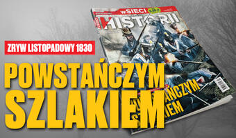 „wSieci Historii”: Fenomen powstań