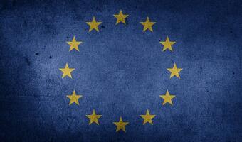 Wyborczy rok w Europie. Czy mamy się czego obawiać?