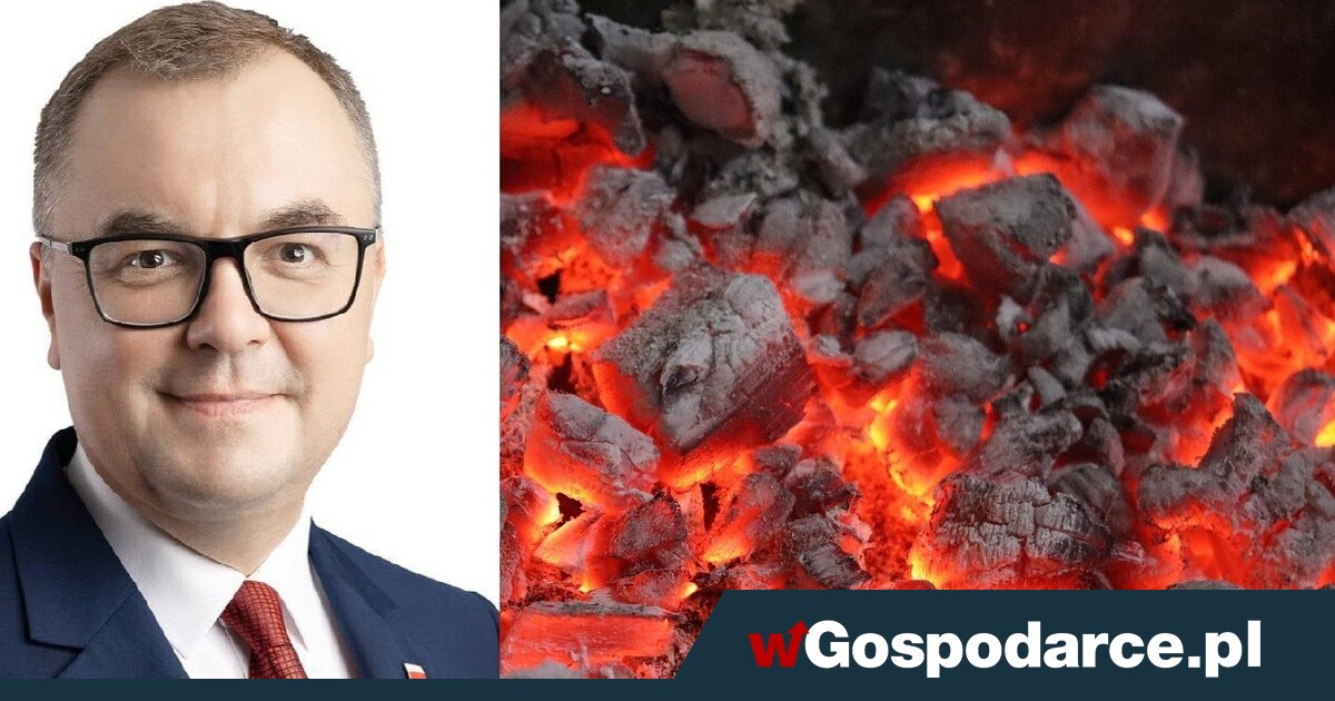 Nie można ciągle walczyć z węglem