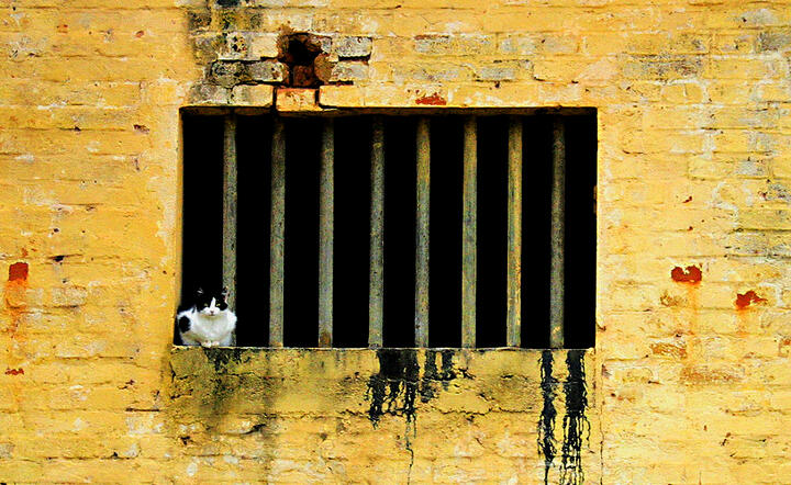 autor: www.sxc.hu