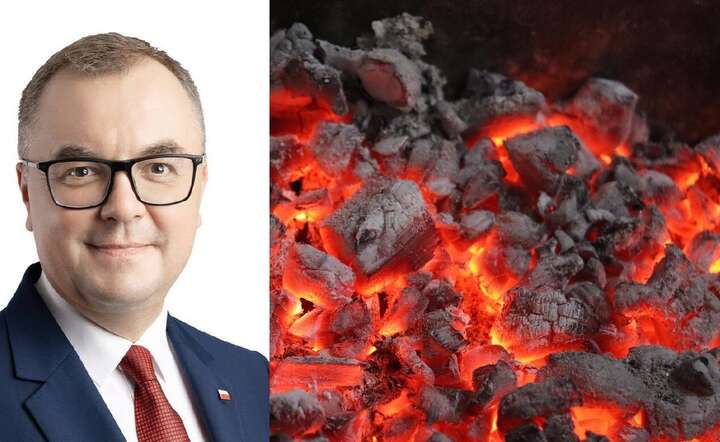 Paweł Sałek: powinniśmy maksymalnie wykorzystywać własne zasoby węgla / autor: materiały prasowe / Pixabay