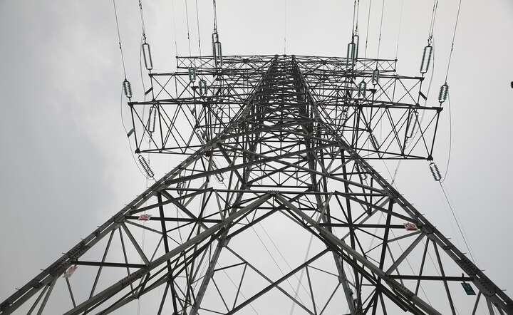 PSE są operatorem systemu przesyłowego energii elektrycznej w Polsce / autor: Pixabay