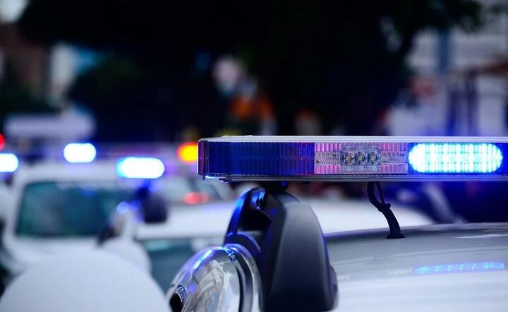 Policja  / autor: Pixabay