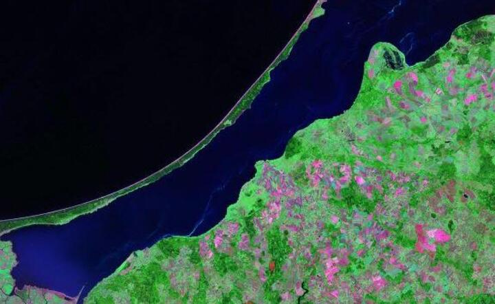 fot. Wikimedia Commons