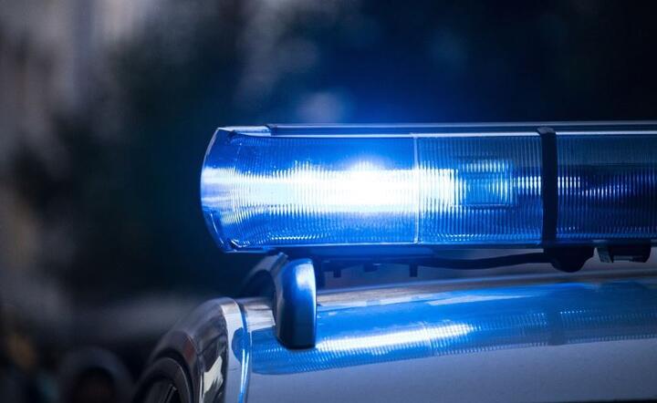 Policja  / autor: Pixabay 
