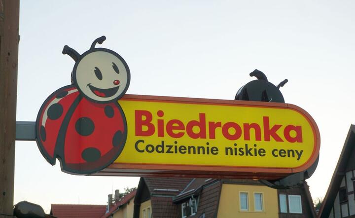 Biedronka / autor: fot. Fratria