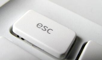 Polacy coraz bardziej internetowi