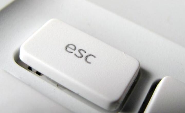 www.sxc.hu