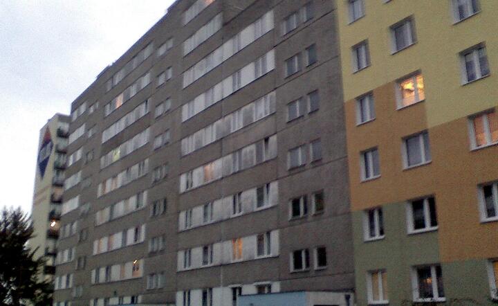 Fot. Wikimedia Commons, autor: JFZ ^^