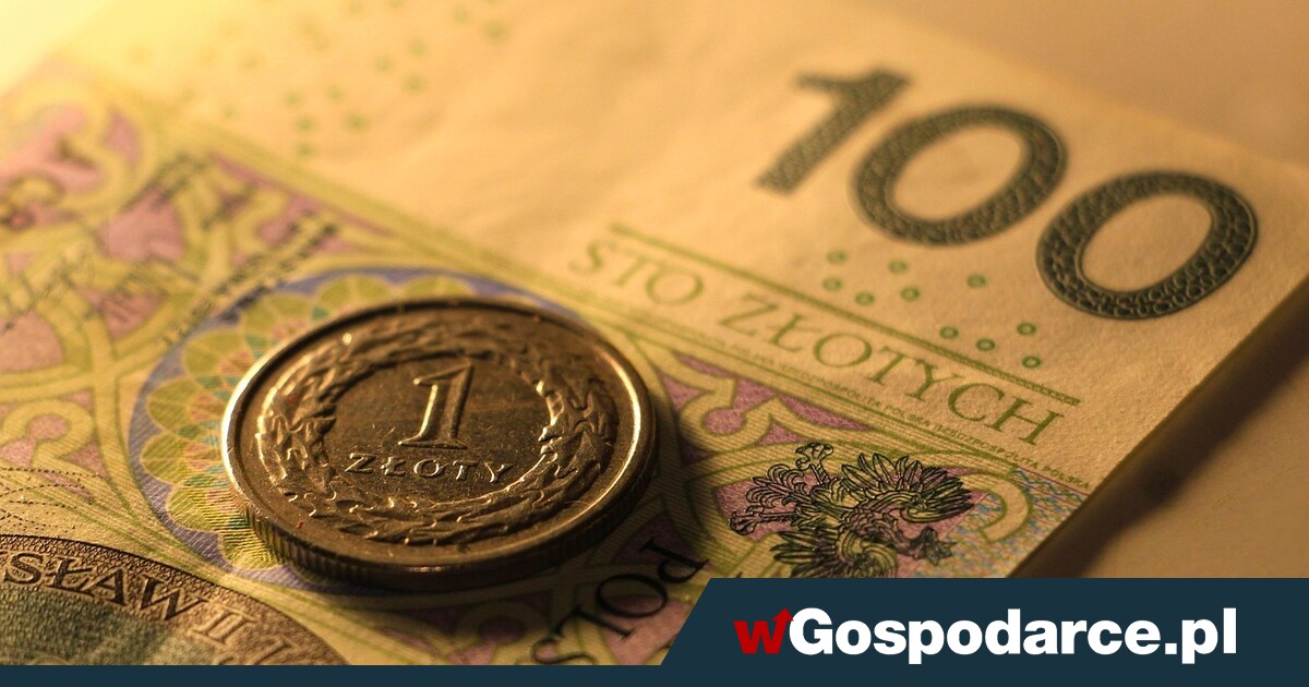 Złoty pod presją. Co dalej z polską walutą?
