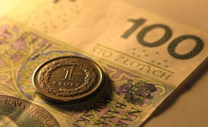 Polska waluta jest w ostatnich dniach odporna na zawirowania globalne / autor: Pixabay