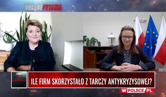 Zwolnienie firm ze składek to niemal 8 mld zł; postojowe kolejne ponad 3 mld