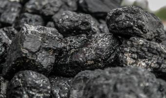 Szturm na e-sklep z węglem! Surowiec wykupiony na pniu