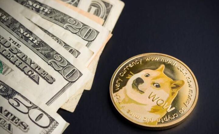 Dogecoin / autor: Shutterstock