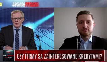 Czy firmy są zainteresowane kredytami? (Wideo)