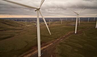 Spada udział energii odnawialnej. UE wyznaczyła cel