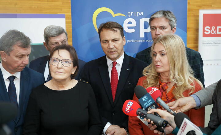 Europarlamentarzyści PO i PSL / autor: PAP/EPA