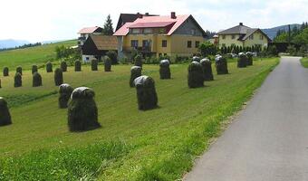 Senator Bierecki do Tuska w sprawie zapaści rolnictwa