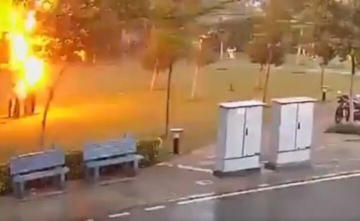 Potworna tragedia! Stanęli pod w drzewem tuż przed uderzeniem pioruna! [wideo]
