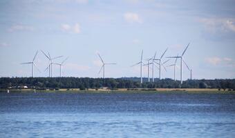 Energia dla Ustki? Ważny przetarg PGE Baltica