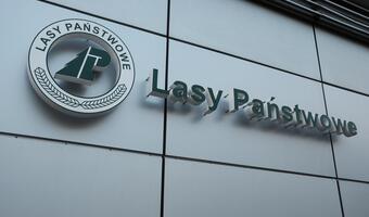 Lasy Państwowe z zyskiem pół miliarda złotych